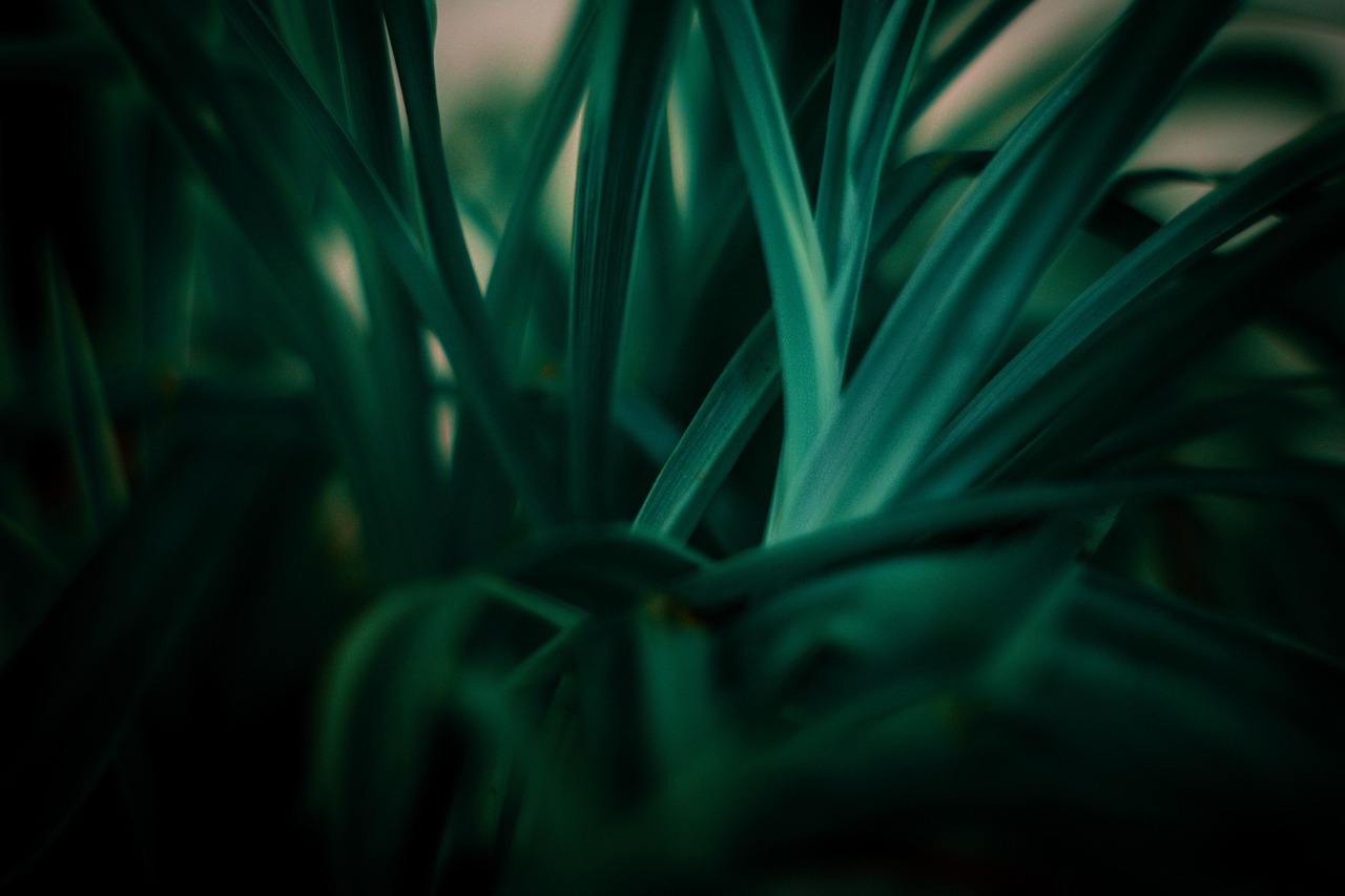 entdecken sie nachhaltige entwicklung: warum sie für unsere zukunft wichtig ist, welche strategien unternehmen und gesellschaften anwenden, und wie jeder nachhaltiger handeln kann. erfahren sie aktuelle trends und lösungen für eine bessere welt.