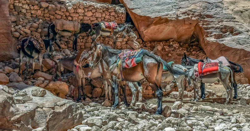 Mules mit Absatz, Plateau oder ganz flach? Es kommt auf den Zweck an