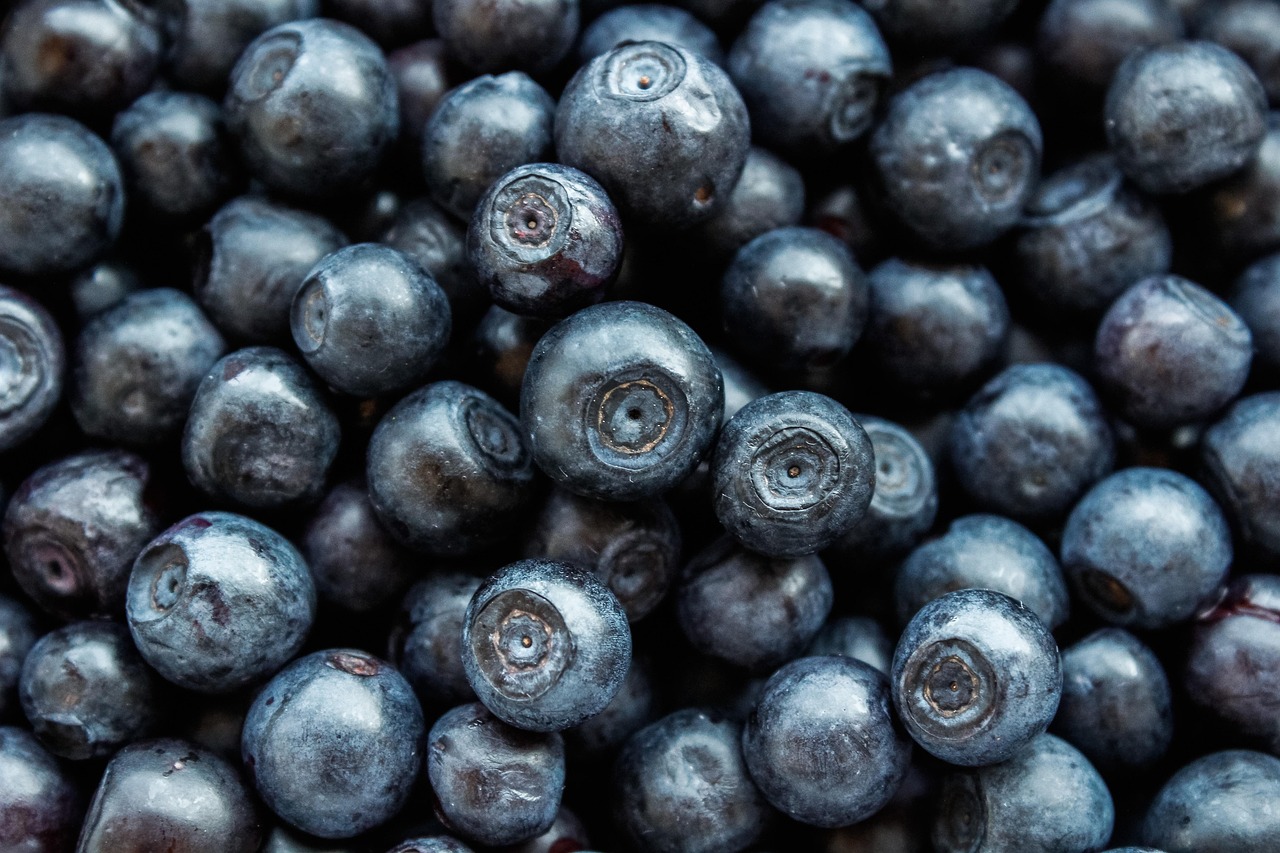 gesunde ernährung 2025: tipps und trends für einen vitalen lebensstil