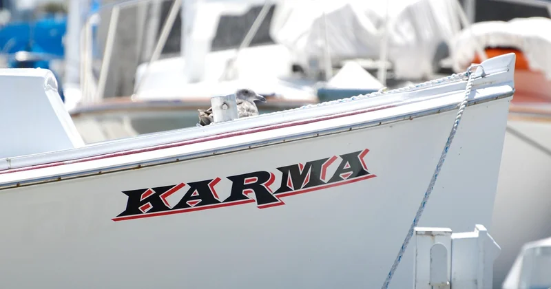 Karma Sprüche böse: wo die Grenze zwischen Hieb und Hass liegt
