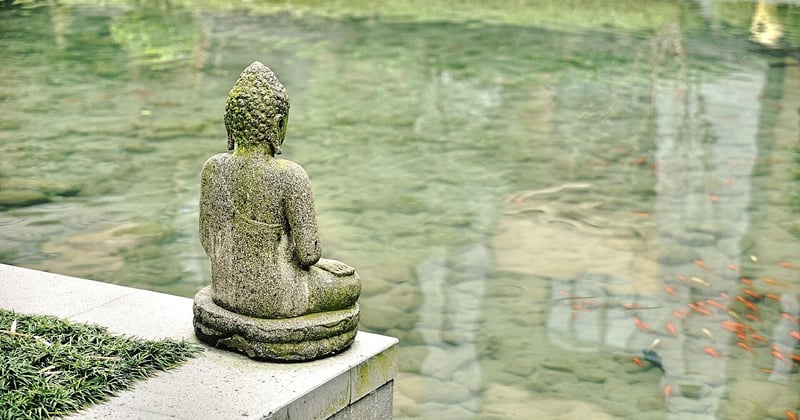 55 Karma Sprüche, die dich zum Nachdenken bringen